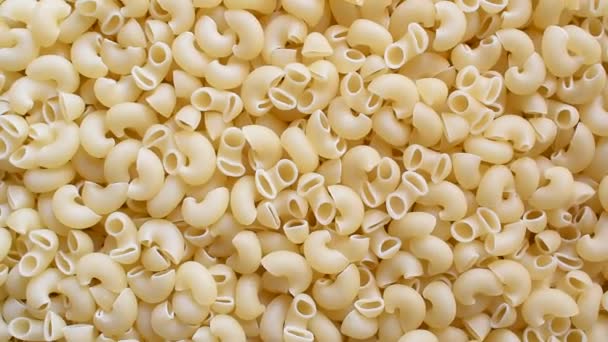 Raw Whole Dried Macaroni Pasta — Stockvideo