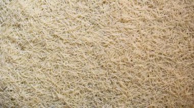 Çiğ ve ince Vermicelli makarnası.