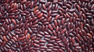 Çiğ, kurutulmuş fasulye.