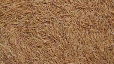 Kızarmış ince Vermicelli makarna.