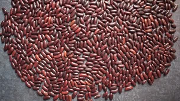 Raw Whole Dried Red Kidney Beans — Stockvideo