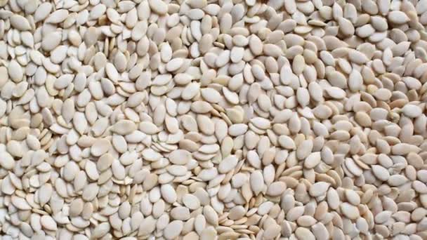 Целые Сырые Сушеные Семена Арбуза — стоковое видео