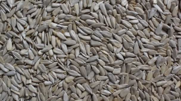 Raw Whole Dried Hulled Sunflower Seeds — Vídeo de stock