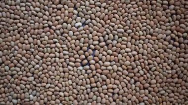 Çiğ, kurutulmuş bezelye çekirdeği.