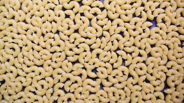 Pâtes Macaroni Coude Crues Séchées Entières — Video