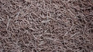 Çiğ çiğ parmak darı vermicelli makarna.