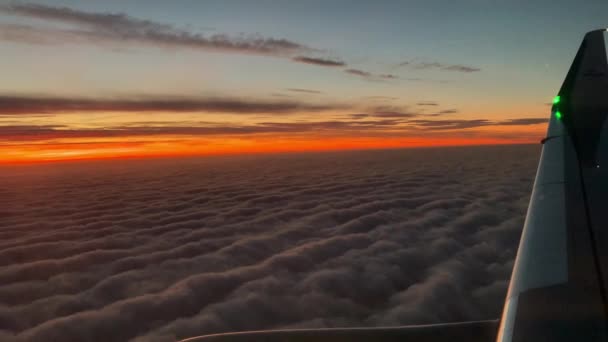 Amsterdam Netherlands 2020 Airplane Flight Wing Klm Aeroplane Flying Clouds — Stockvideo