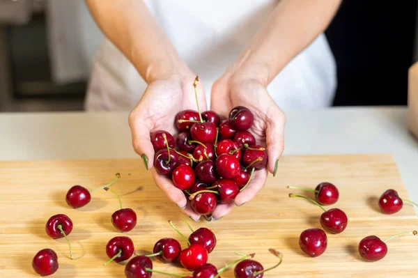 Young Female Hands Apron Holding Heap Fresh Ripe Cherries Home — Stock Photo, Image
