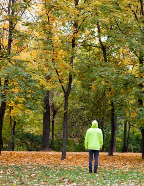 Autumn. Man looking up in a forest during autumn. Picture of a man using a neon yellow hoodie observing the nature