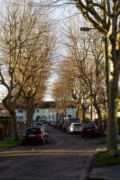 Dublin Leinster Ireland 2021 Street Ashtown North Dublin Vertical Image — Zdjęcie stockowe