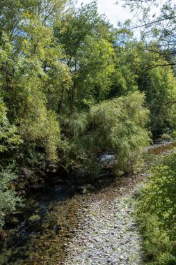 Güney Fransa 'daki bir köprüden tipik bir nehir manzarası
