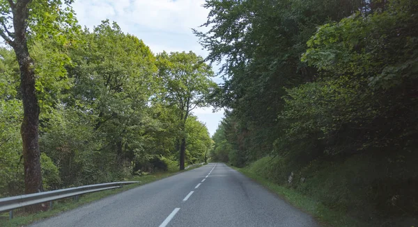 Estrada Com Árvores Verdes Sul França — Fotografia de Stock