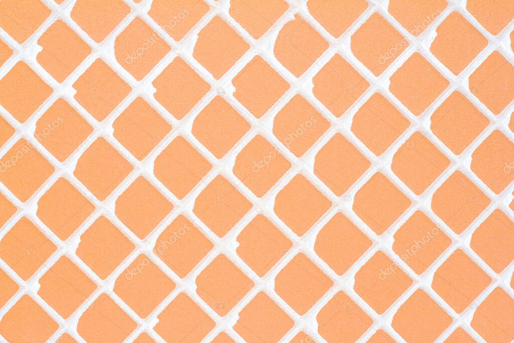 Rear orange tile background.