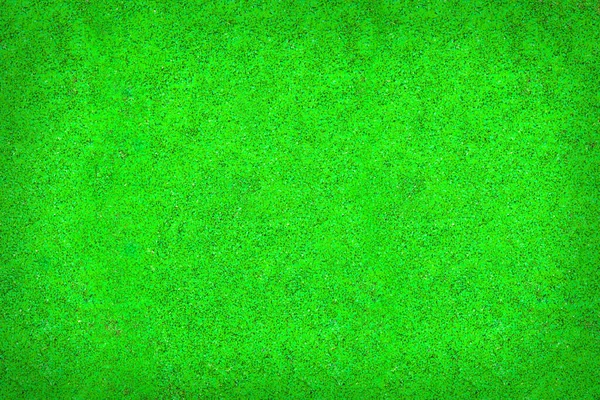 Groen Gras Textuur Abstract Achtergrond — Stockfoto