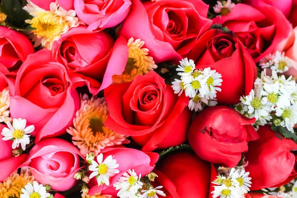 Sırt sırta güller