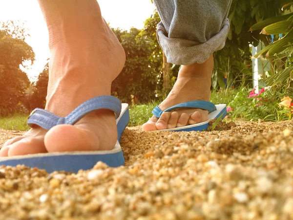 slipper standing on the sand early morning light.