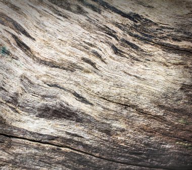 Doğal desenli ahşap doku, yakın çekim..