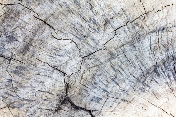 Blur Wood Texture Background — Fotografia de Stock