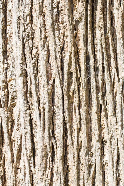 Wood Texture Brown Grunge Background — Foto de Stock