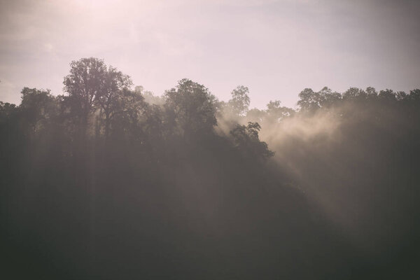 Morning light shines from natural background.