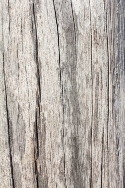 Ahşap basit doku arkaplanı.