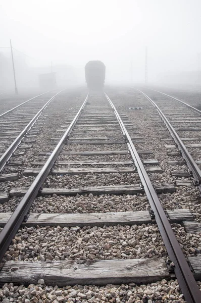 Oude Treinrails Vergeten Een Mistige Dag — Stockfoto