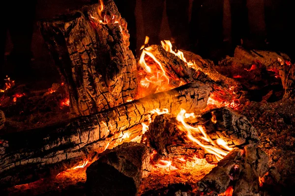 축제에서 나무를 태우는 — 스톡 사진