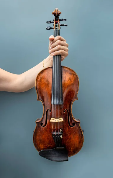 17Th Century Professional Violin Made Luthier — Stock Photo, Image