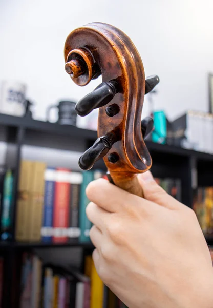 Violino Professionale Del Xvii Secolo Realizzato Liutaio — Foto Stock