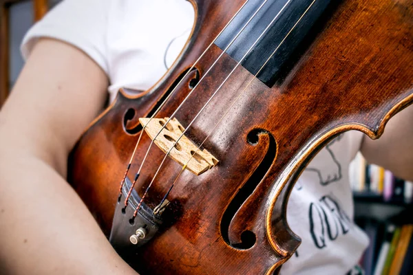Професійна Скрипка Xvii Століття Зроблена Лусистом — стокове фото