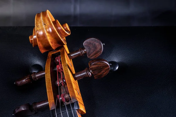 吉他手的专业大提琴 — 图库照片