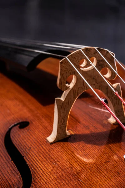 Professionell Cello Tillverkad Ljusare — Stockfoto