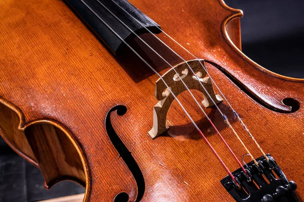 Violoncello Professionale Fatto Liutaio — Foto Stock