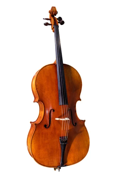 具有白色背景的专业大提琴 — 图库照片