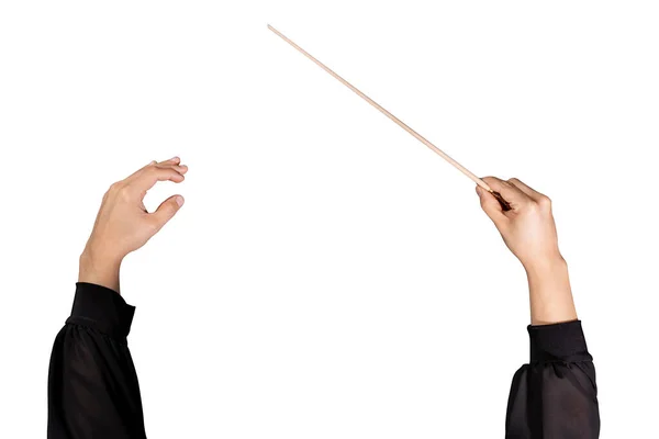 Hands Female Conductor — Stock Photo, Image