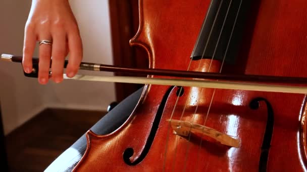 Mladá Žena Cvičí Violoncello Třídě — Stock video