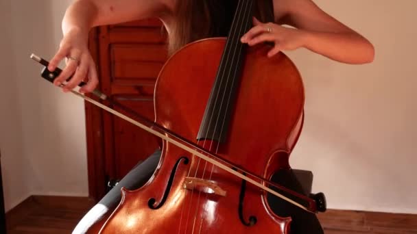 Młoda Kobieta Ćwicząca Wiolonczelę Klasie — Wideo stockowe