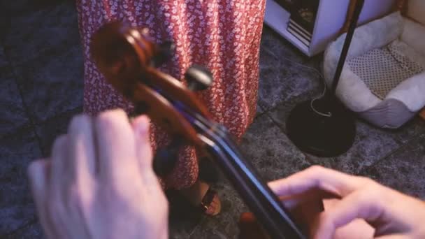 Profi Geiger Repariert Seine Geige — Stockvideo