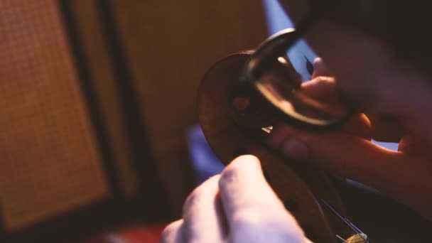 バイオリンを修理するプロのヴァイオリニスト — ストック動画