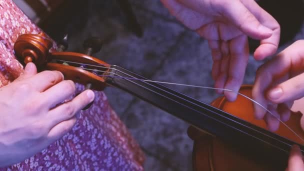 Violinista Profesional Reparando Violín — Vídeos de Stock