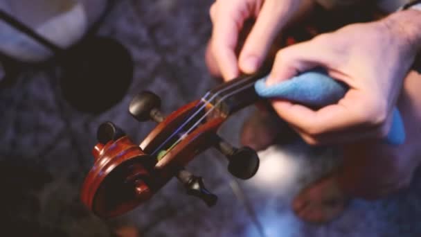 Violinista Profesional Reparando Violín — Vídeos de Stock