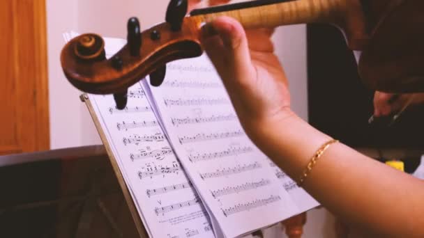 Músicas Femeninas Profesionales Ensayando Próximo Concierto — Vídeo de stock