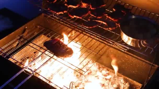 Cooking French Duck Barbecue Fire — Stock Video