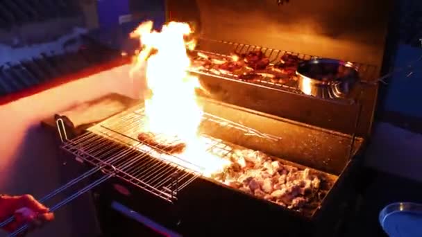 Cuisson Canard Français Sur Feu Barbecue — Video