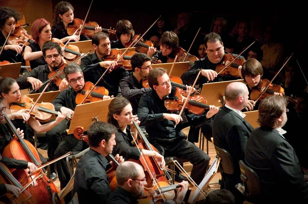 Classical Music Concert Symphony Orchestra — Foto Stock