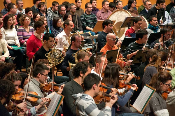Classical Music Concert Symphony Orchestra — Foto de Stock