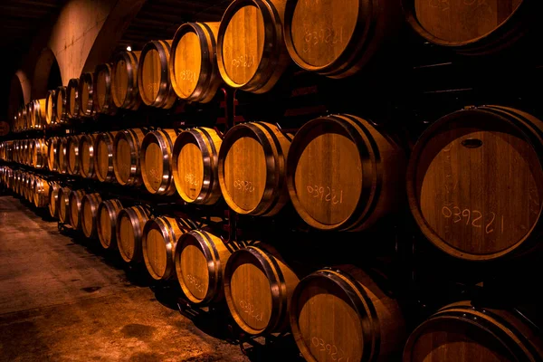 Cellar Barrels Storage Wine Spain — ストック写真