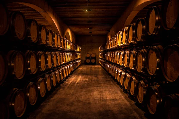 Cellar with barrels for storage of wine, Spain