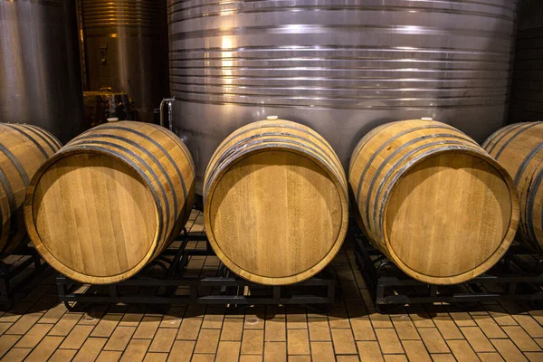 Cellar Barrels Storage Wine Spain — Fotografia de Stock