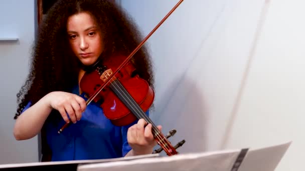Girl Violinist Playing Violin Concert Home — Vídeo de stock